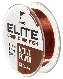 Леска Salmo Elite Carp & Big Fish 200/025 - фото 1