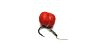 Новинка: мини-бойлы на резинке Lion Baits