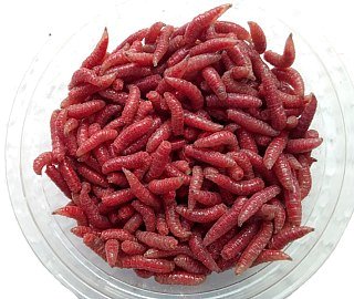 Опарыш Кузина красный