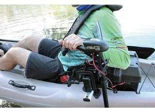 Электромотор Haswing Osapian W-20 - фото 4