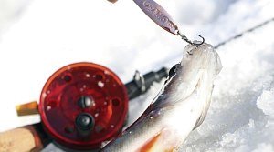 Лучшие зимние блесны: топ-5 Лучшие зимние блесны: топ-5