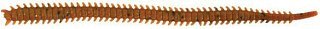 Приманка Marukyu Power Isome soft M brown - фото 1