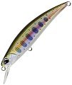 Воблер DUO Spearhead Ryuki 80S ANA4134 Lake Yamame