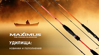 Спиннинги и фидеры Maximus: новое поступление 