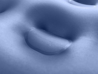 Матрас надувной Avenli Relax Flocked с ручным насосом 191x73x22 синий - фото 7