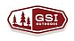 GSI