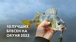 10 лучших блёсен на окуня 2022