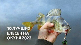 Лучшие блесны на окуня 2022