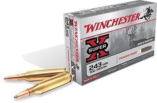 Патрон 300WSM Winchester power-point 11,66 - фото 1