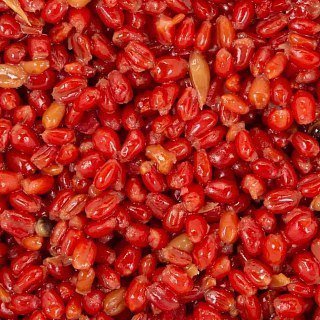 Прикормка MINENKO PMbaits ready to use red strawberry wheat 1кг - фото 4