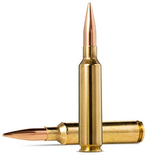 Патрон 6,5-284 Norma Golden Target 8,4 гр