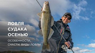 Подробное руководство о ловле судака осенью: особенности, снасти, виды ловли!