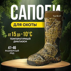 Сапоги