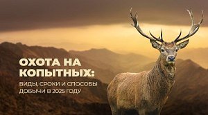Охота на копытных: виды, сроки и способы добычи в 2022 году