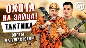 Тактика и снаряжение для охоты на зайца. Новое видео