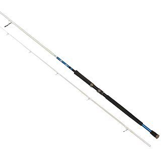 Спиннинг Savage Gear Salt 1DFR Shore Jigging 9' 2.74м 80-150гр - фото 1