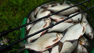 Удилище Zemex ICON Tournament Feeder 12ft 75гр - фото 10