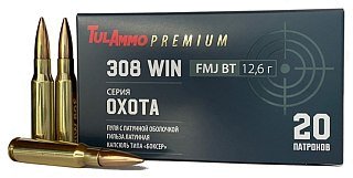 Патрон 308Win ТПЗ Охота FMJ BT 12,6г латунь