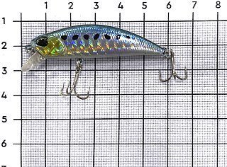 Воблер DUO Spearhead Ryuki 50S SW AHA0011 Sardine - фото 4