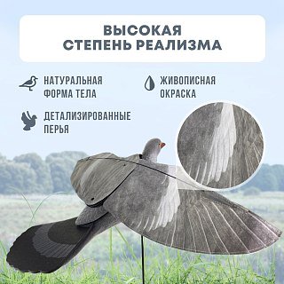 Подсадной голубь Taigan Proflapper летящий на стойке - фото 3