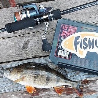 Японские спиннинги и приманки – Xesta