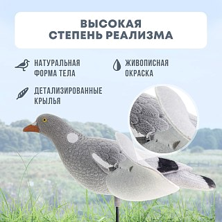 Подсадной голубь Taigan Flossy с вращающ. крыльями - фото 5