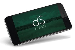 Прицел Swarovski dS 5-25x52 P L Gen II 4A-I - фото 4