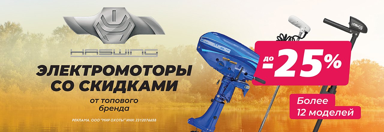 Акция на моторы Haswing