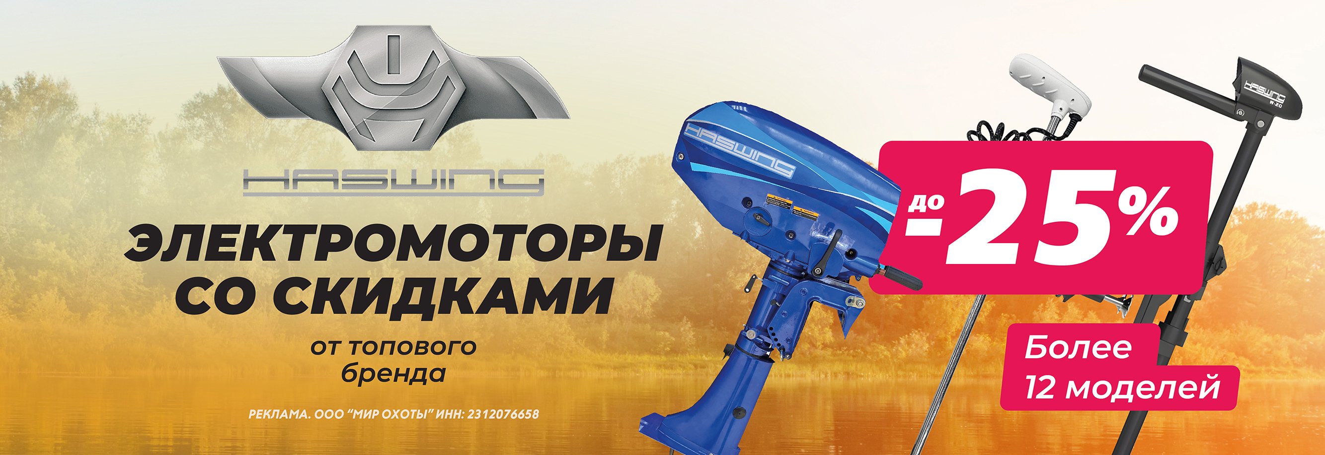 Акция на моторы Haswing